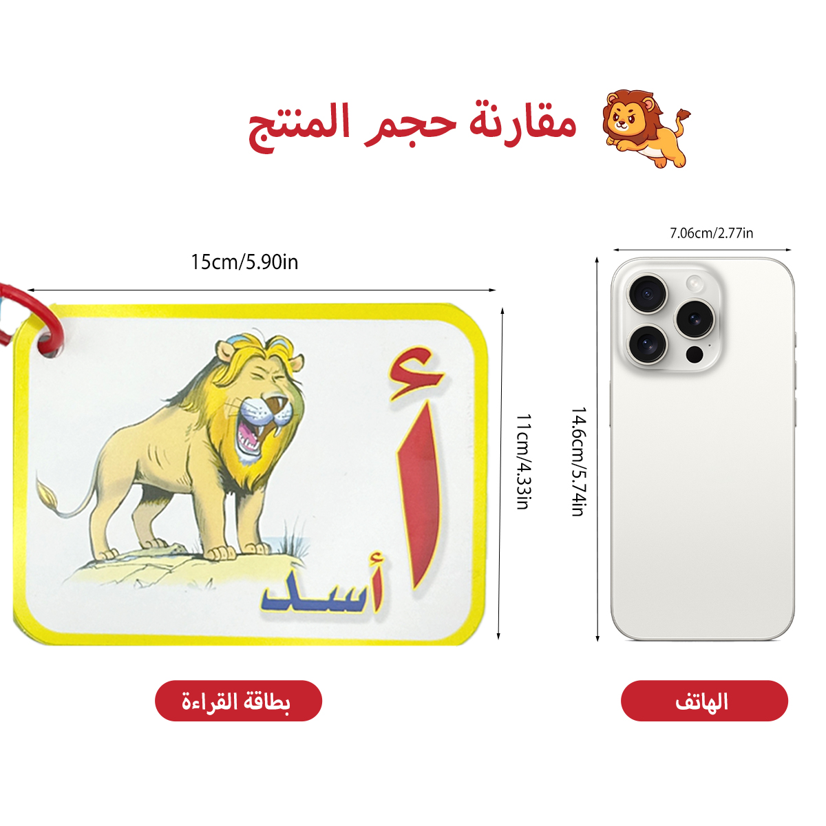 แฟลชการ์ดตัวอักษรภาษาอาหรับสํา - Flash Card Alphabet บทวิจารณ์และราคา