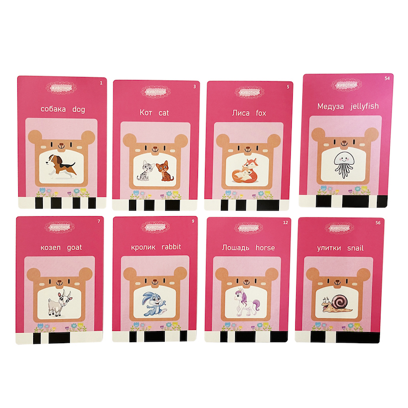 รัสเซียภาษาอังกฤษ Taking การ์ด - Flash Card Alphabet บทวิจารณ์และราคา