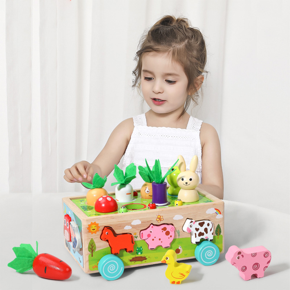 การจัดประเภทของเล่นรูปทรงไม้ขอ - Kids Educational Game 3 บทวิจารณ์และราคา