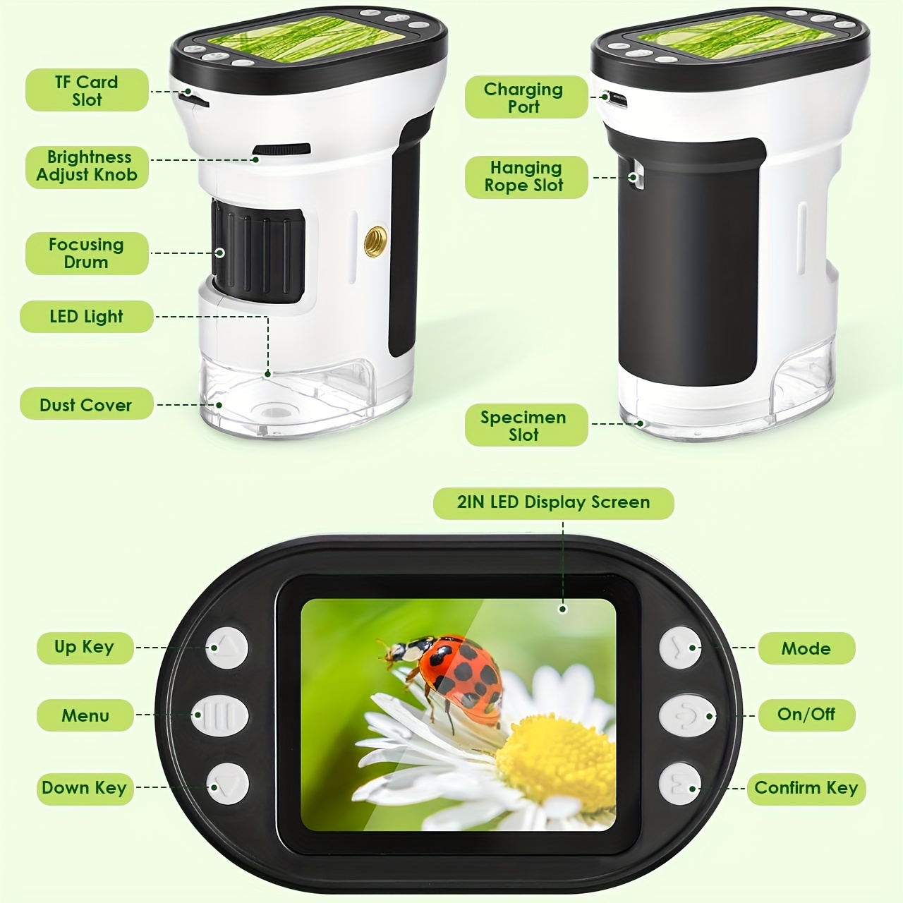 ชุดกล้องจุลทรรศน์สำหรับเด็ก ขย - Kids Education Yes บทวิจารณ์และราคา